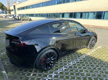 TESLA Model Y AWD Performance