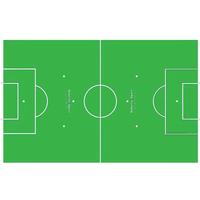 cartoncino roberto sport