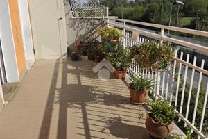 3 LOCALI A RIMINI