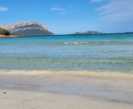 Fine agosto in residence