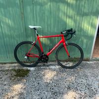 Saccarelli taglia 56