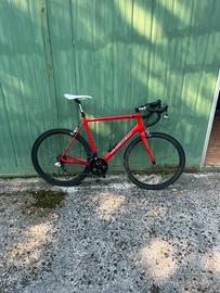 Saccarelli taglia 56