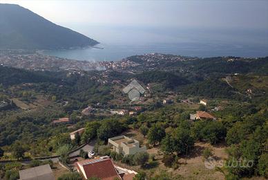 TER. AGRICOLO A TORRACA