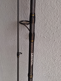 Canna da pesca daiwa