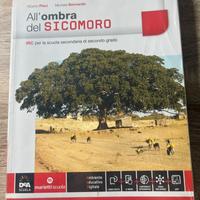 All’ombra del sicomoro