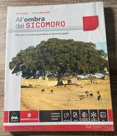 All’ombra del sicomoro