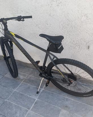 MTB Bottecchia 