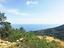 Immagine 29