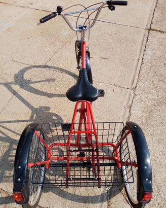 Bicicletta tre ruote per adulti