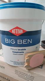 Pittura interno e esterno