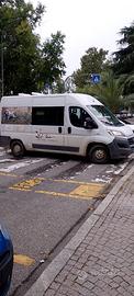 Fiat ducato Combi 7 posti
