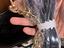 Immagine 6