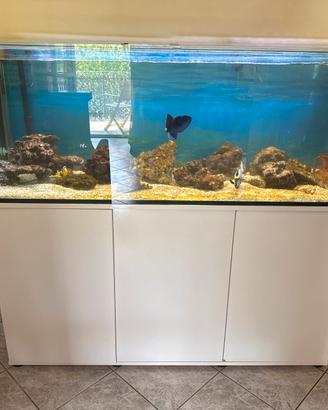 Acquario