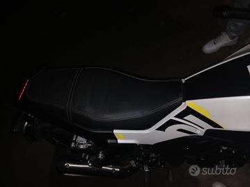 Benelli leoncino 