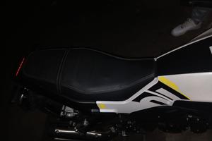 Benelli leoncino 