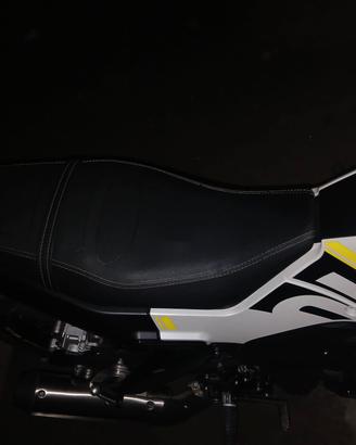 Benelli leoncino 