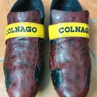 scarpe ciclismo vintage Colnago