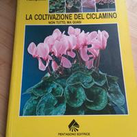Libro La coltivazione del ciclamino  Pentagono ed