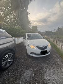 Lancia ypsilon 1.3 Multijet 95CV 2016