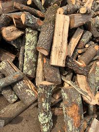 Legna da ardere