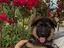 Immagine 19