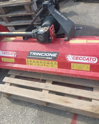 Trincia Ceccato