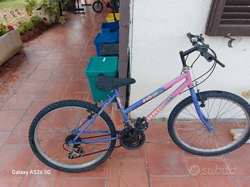 bicicletta
