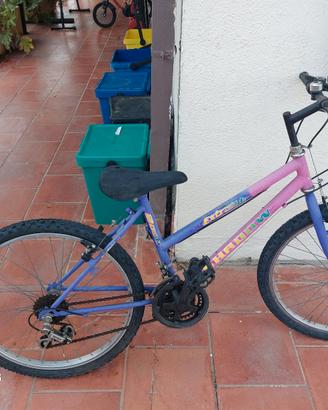 bicicletta