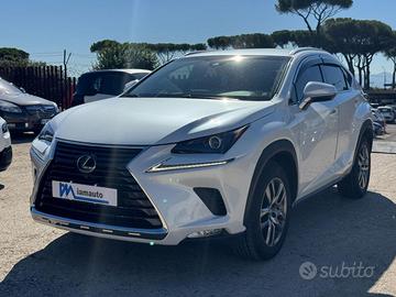 LEXUS NX 300h Hybrid Business 2.5cc 155cv (243)