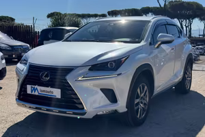 LEXUS NX 300h Hybrid Business 2.5cc 155cv (243)