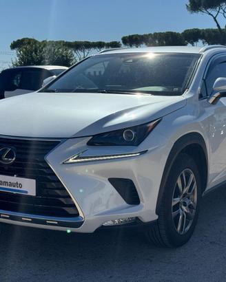 LEXUS NX 300h Hybrid Business 2.5cc 155cv (243)