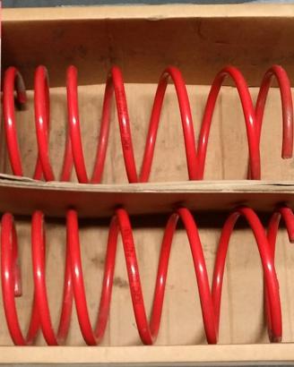 Molle ribassate Momo Corse Peugeot 106xsi 1serie