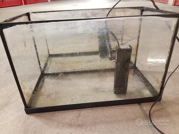 acquario con pompa filtro