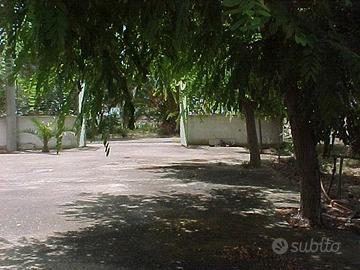 METAPONTO villetta indipendente