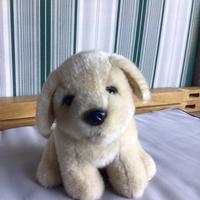 Peluche