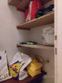 Appartamento a Udine zona ospedale