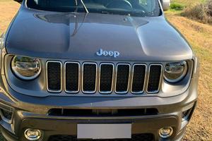 Jeep Renegate 1.6