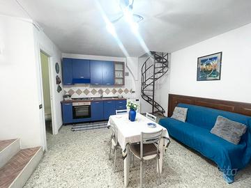 Comodo trilocale indipendente