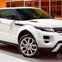 Ricambi range rover evoque-musate complete num-8