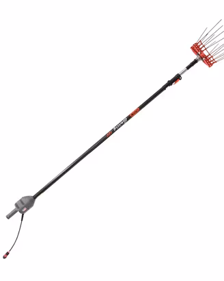 Abbacchiatore per Olive LISAM Swing medio