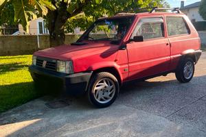 Panda 1000 fire 1993