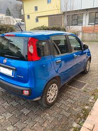 Panda 1.0 70 cv Hybrid Pop