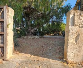 Casale rustico