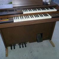 Organo elettronico "Siel"