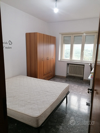 Stanze in appartamento per studentesse