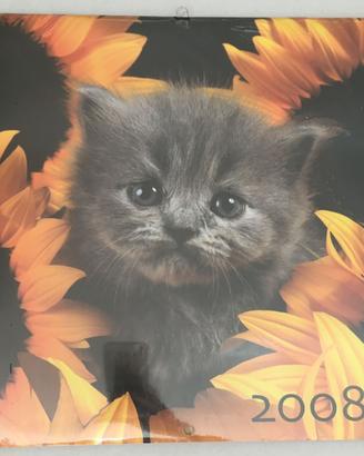 Calendario gatti 2008