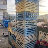 Cestino lavastoviglie da ristorante