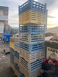 Cestino lavastoviglie da ristorante