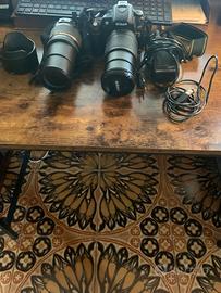 macchina fotografica Nikon D80