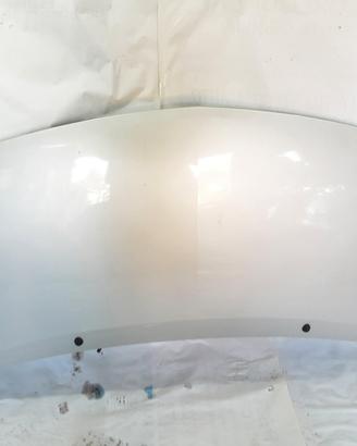 COFANO ANTERIORE RENAULT Twingo II serie 775147764